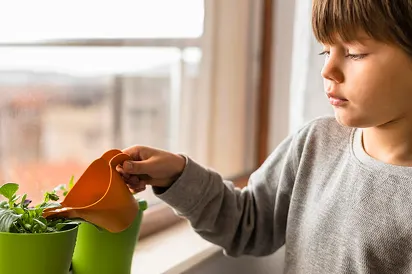 Eco-Friendly Cleaning Services